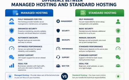 Managed vs. Standard Hosting: What Is the Real Difference?